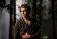 /album/fotogalerie-paul-wesley/tv-the-vampire-diaries-paul-wesley-stefan-salvatore-desktop-1200x815-hd-wallpaper-919355-jpg/